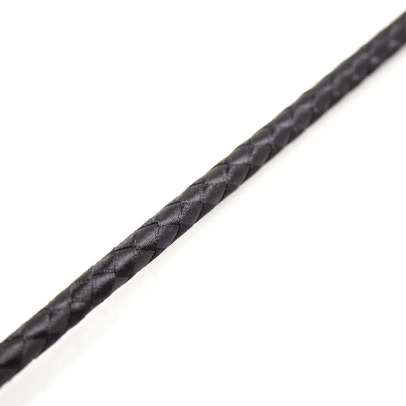 Cravache longue - noir / universelle